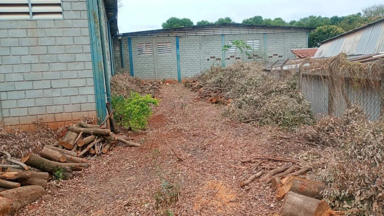 Galpão - 1500m² - Distrito Industrial - São Simão - Foto 5