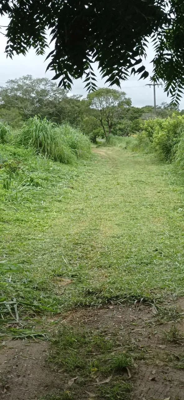 Fazenda à venda.. oportunidade especial  - Foto 5
