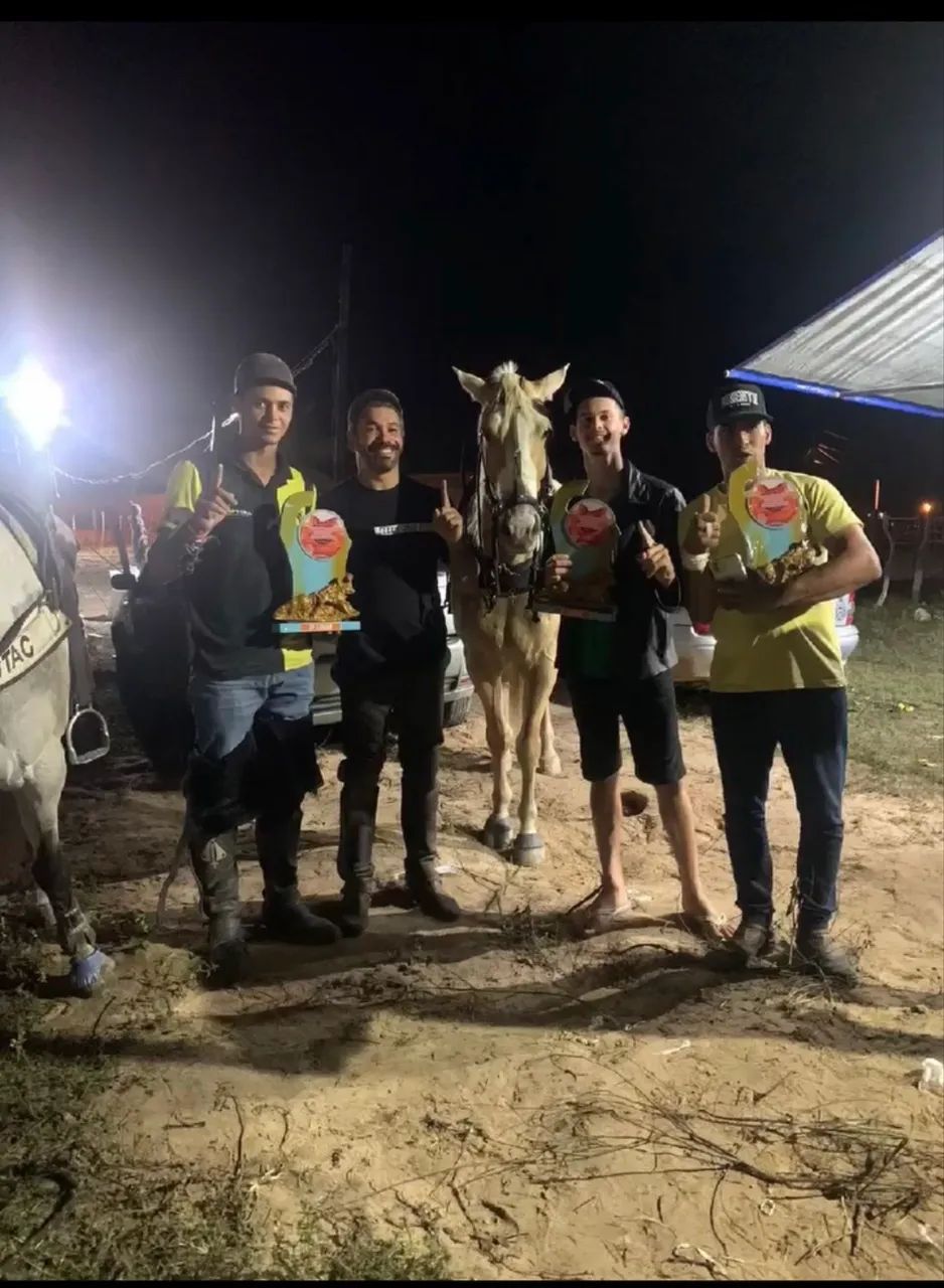 Cavalo de direita  - Foto 2