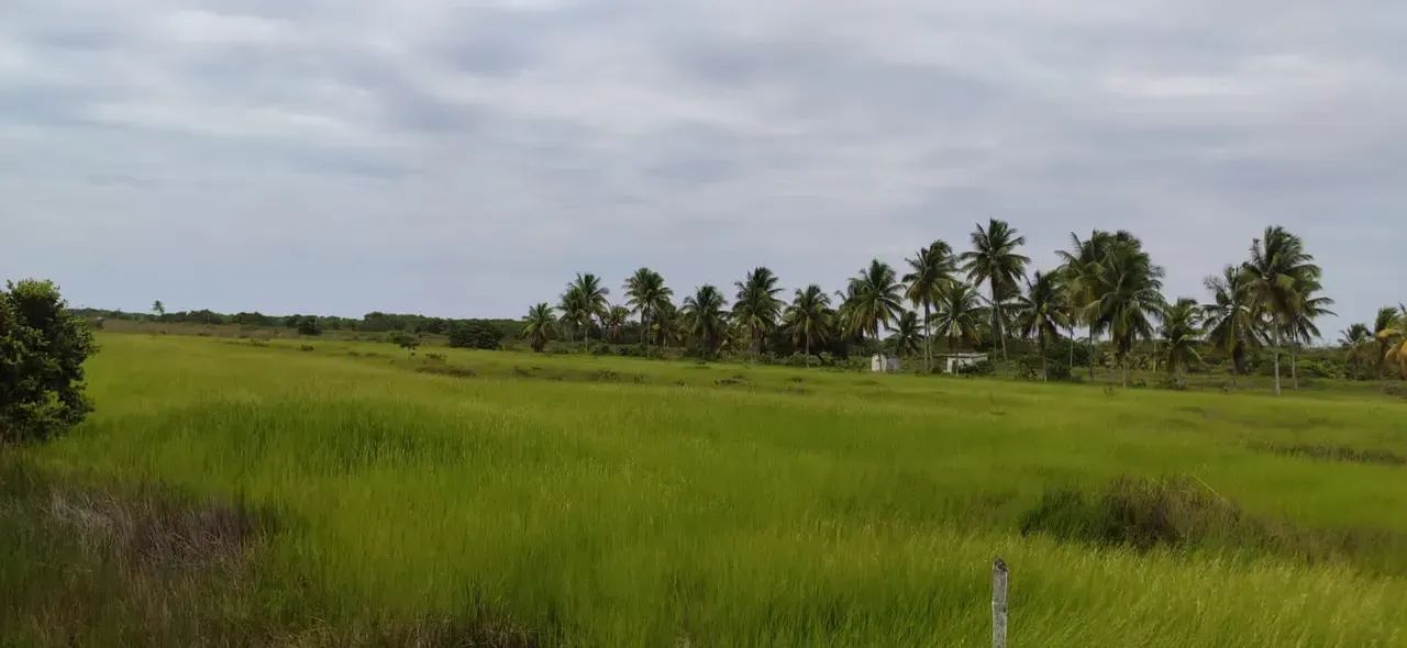 Área no litoral sul da Bahia - Foto 4