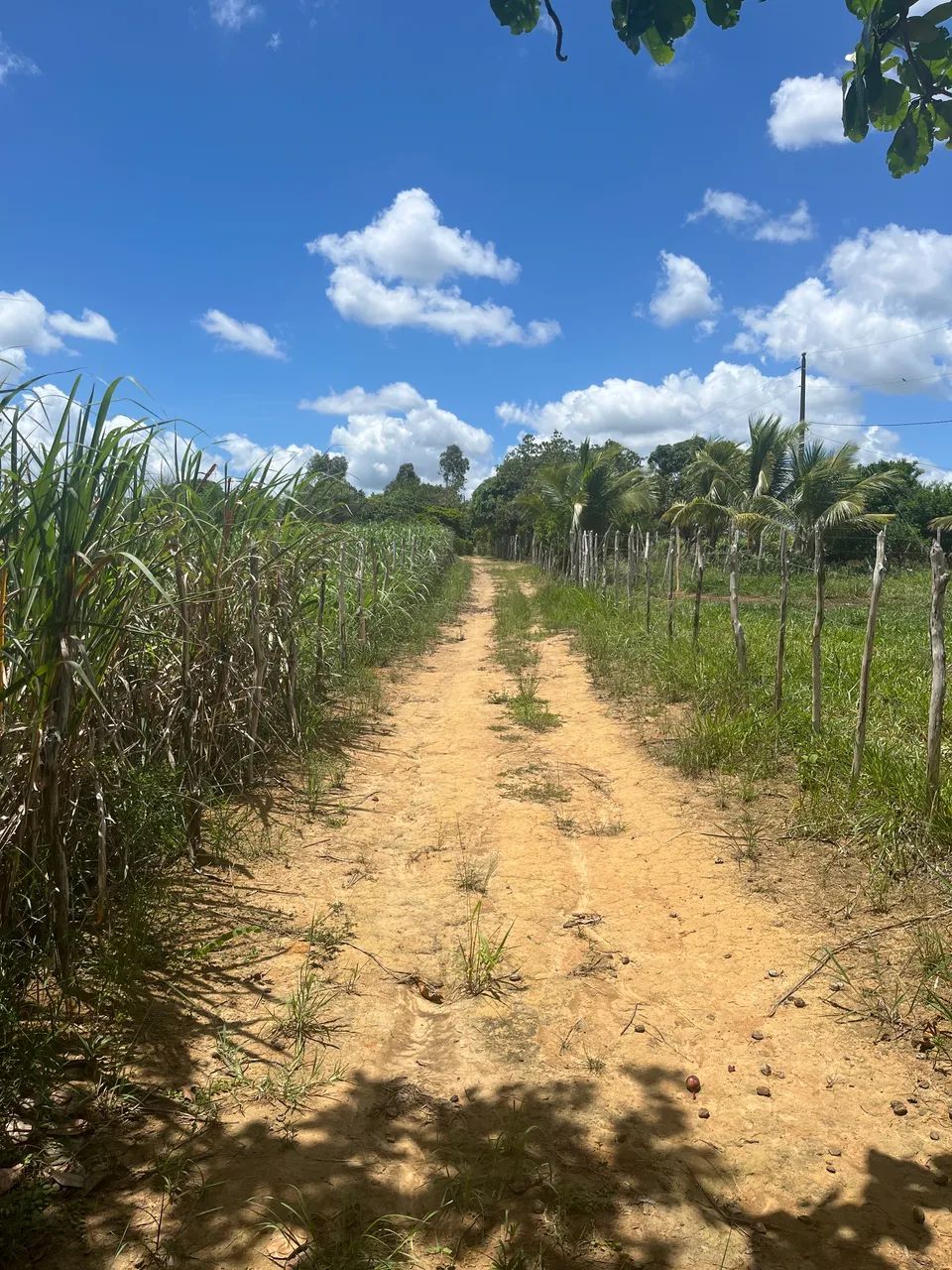 Sitio em chã de alegria  - Foto 3