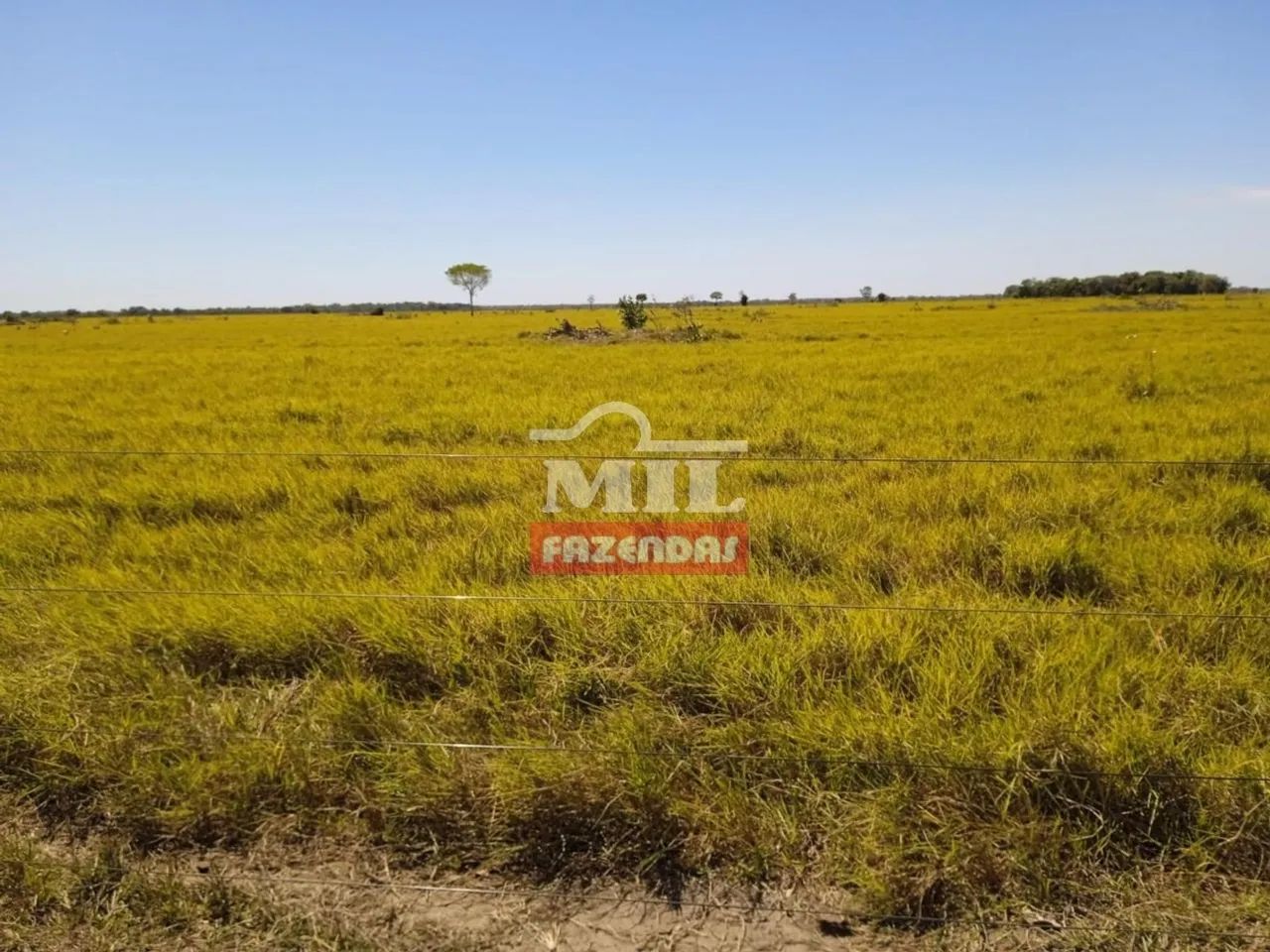 Fazenda em Sandolandia-TO. 906 Alqueires (Bem localizada) - Foto 4