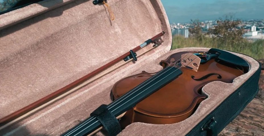 violino - Foto 2