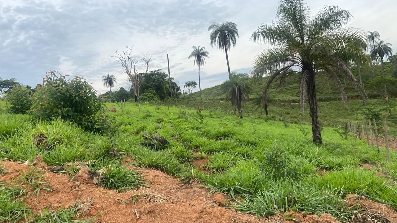 Vende se este lote  - Foto 3