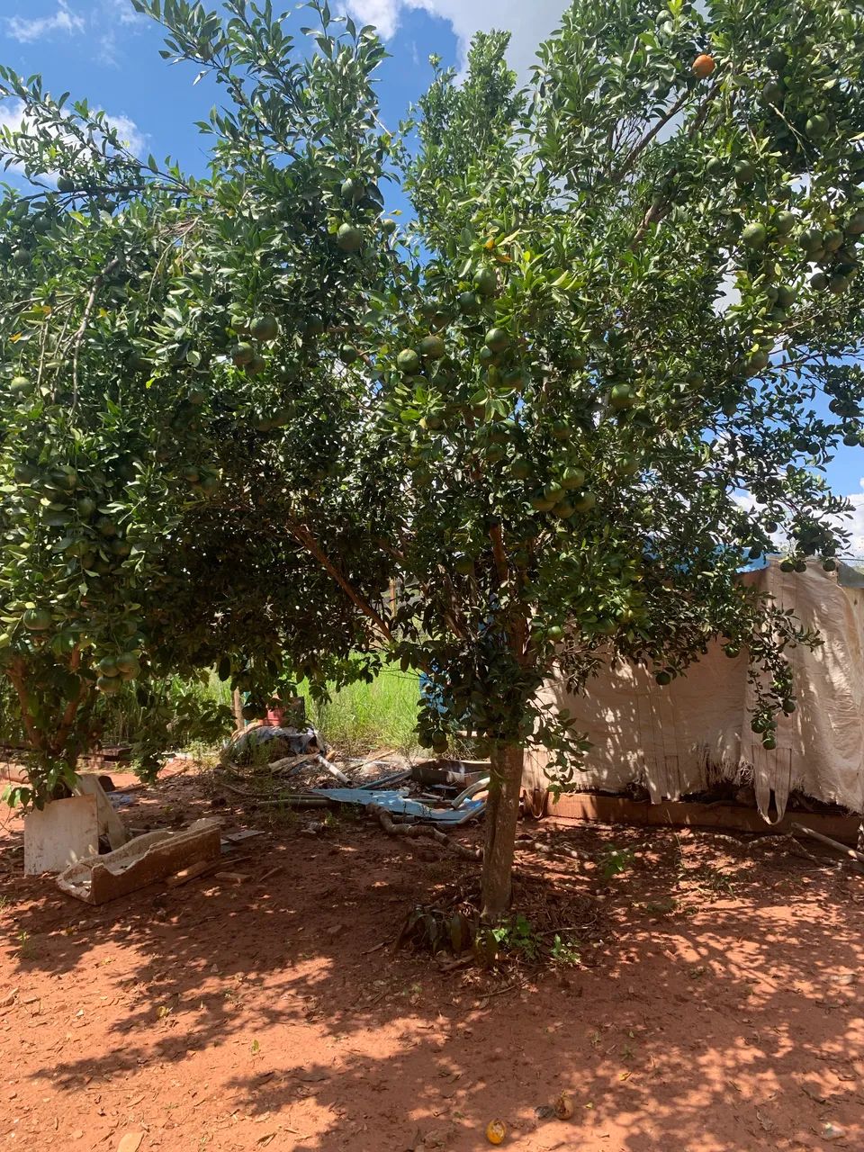 Chácara a venda - Foto 2