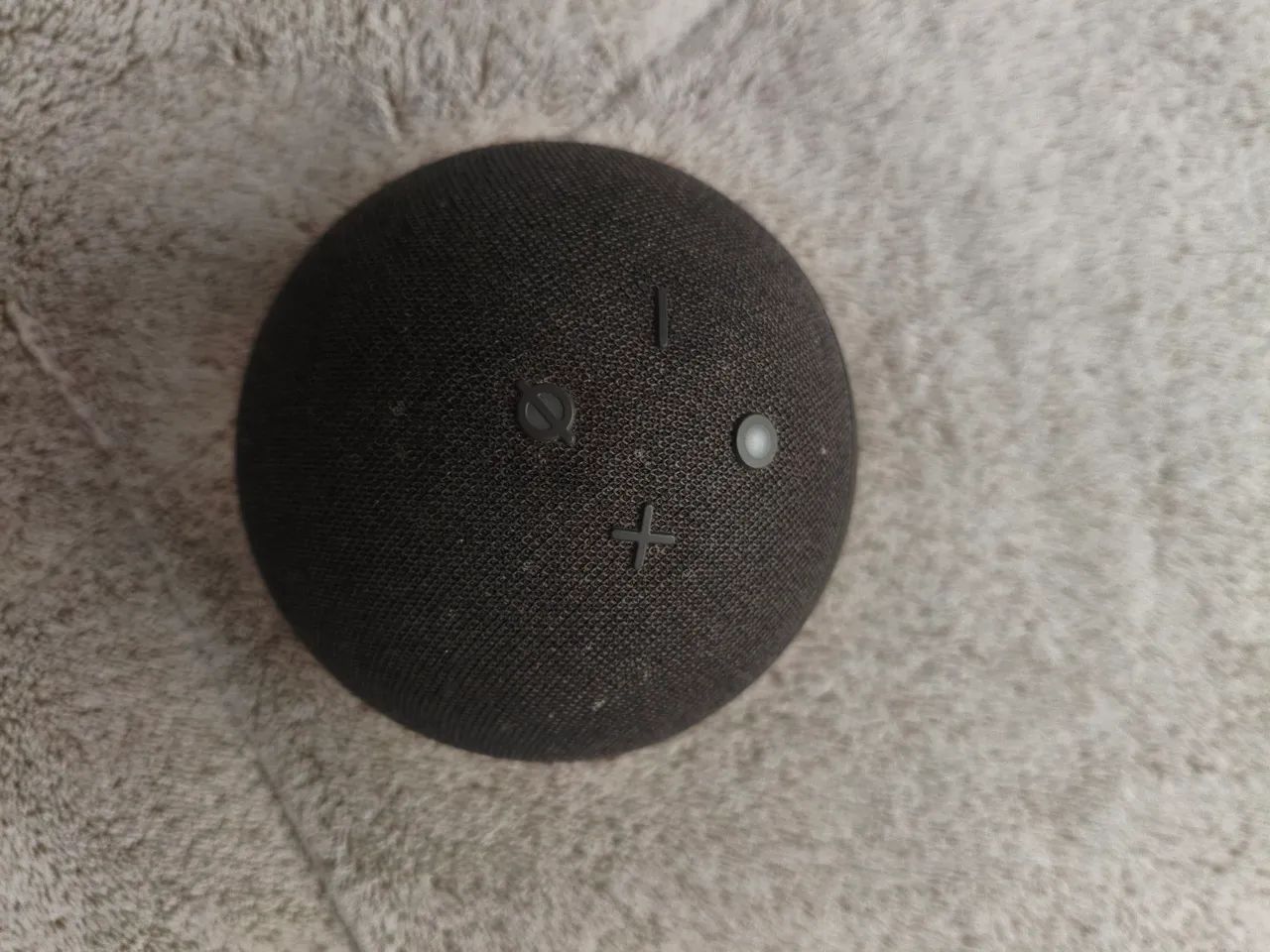 Alexa - Foto 4
