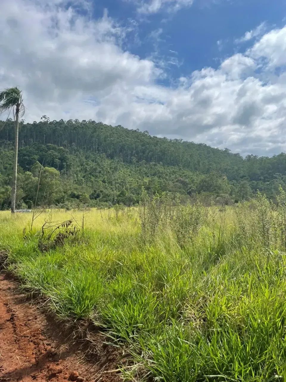 Lotes em Atibaia sem consulta ao SPC - Foto 4