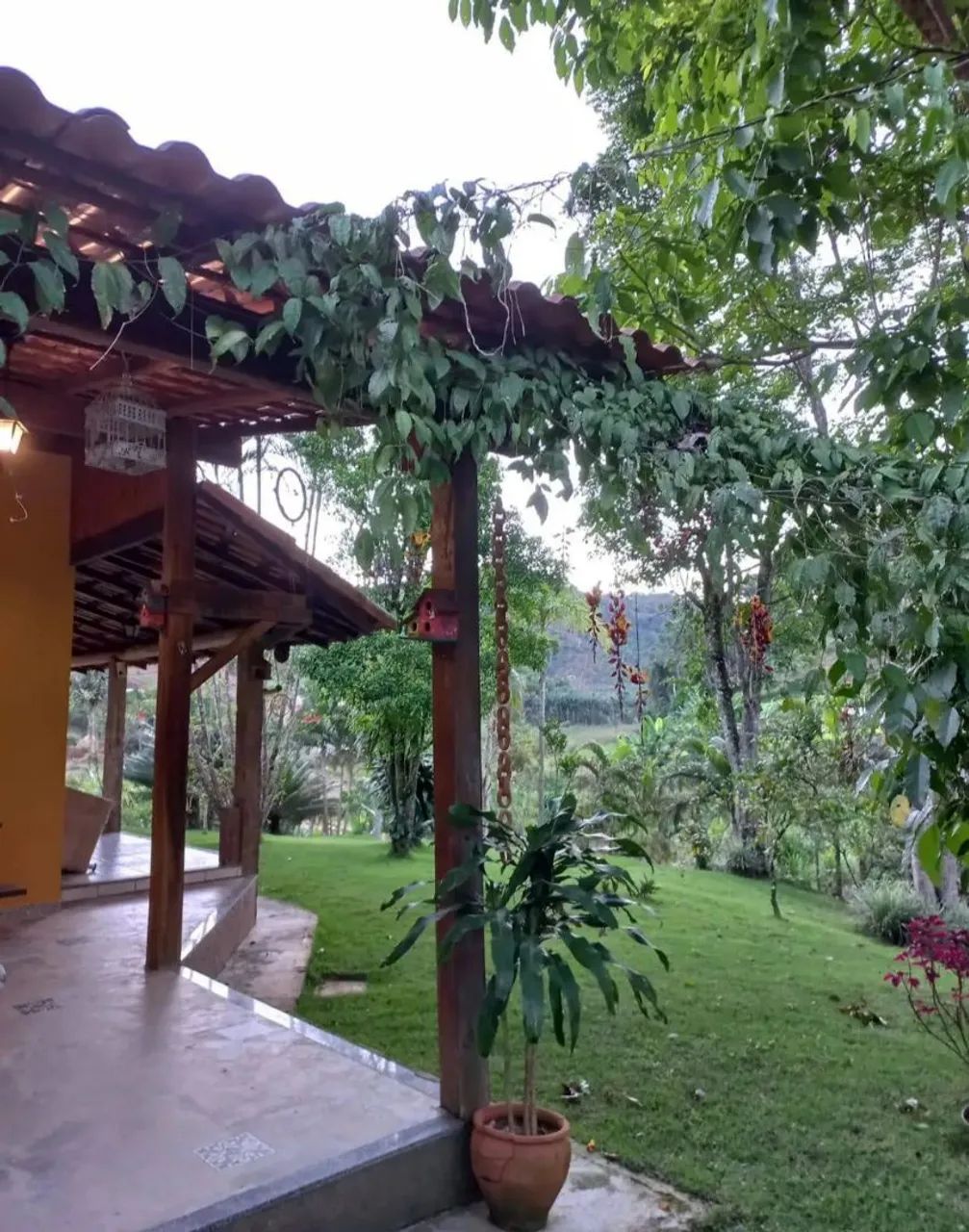 Excelente sítio em Ribeirão do Cristo com 3 alqueires.  - Foto 4