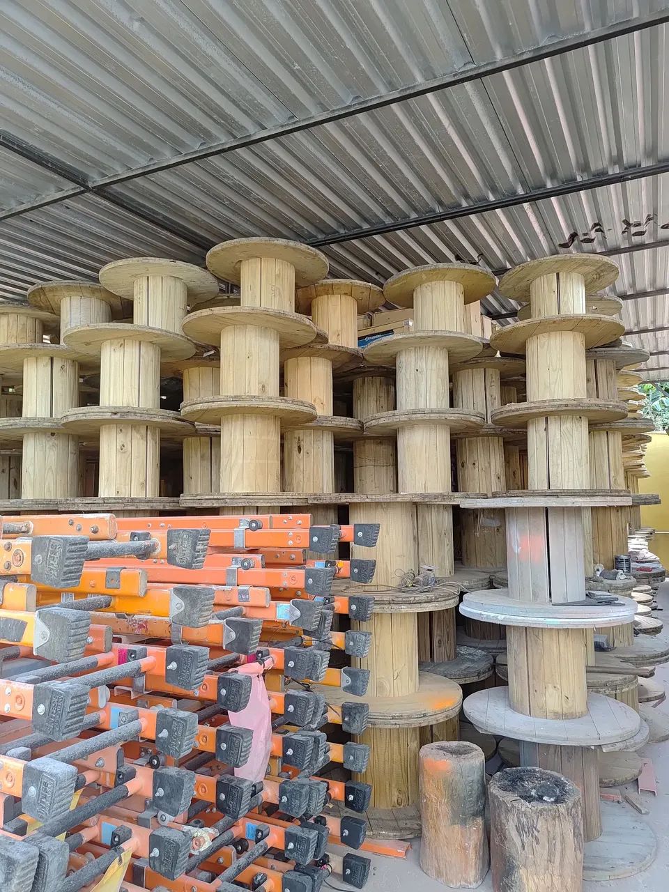 Bobina de pinus