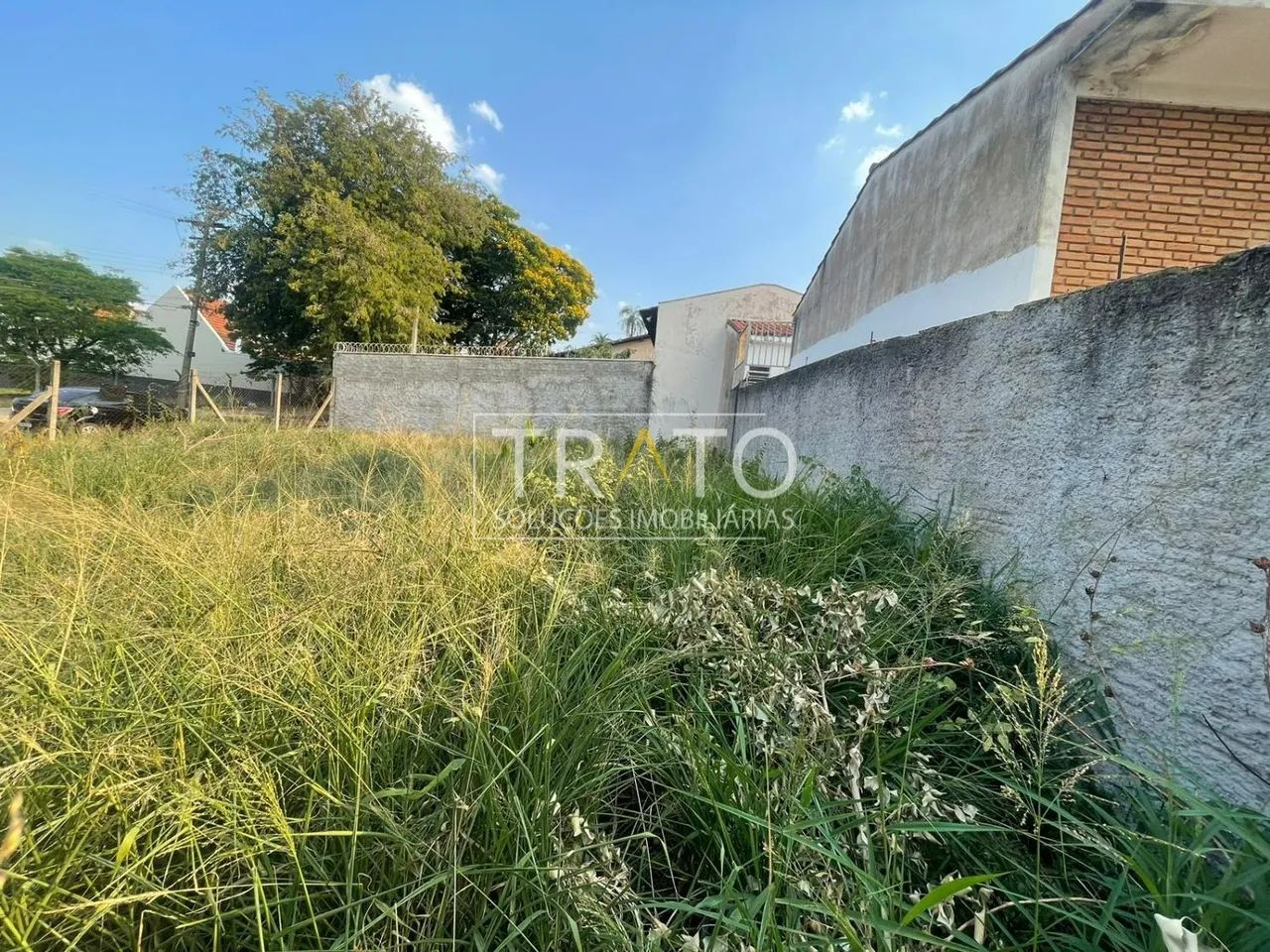 terreno - Parque São Quirino - Campinas - Foto 5