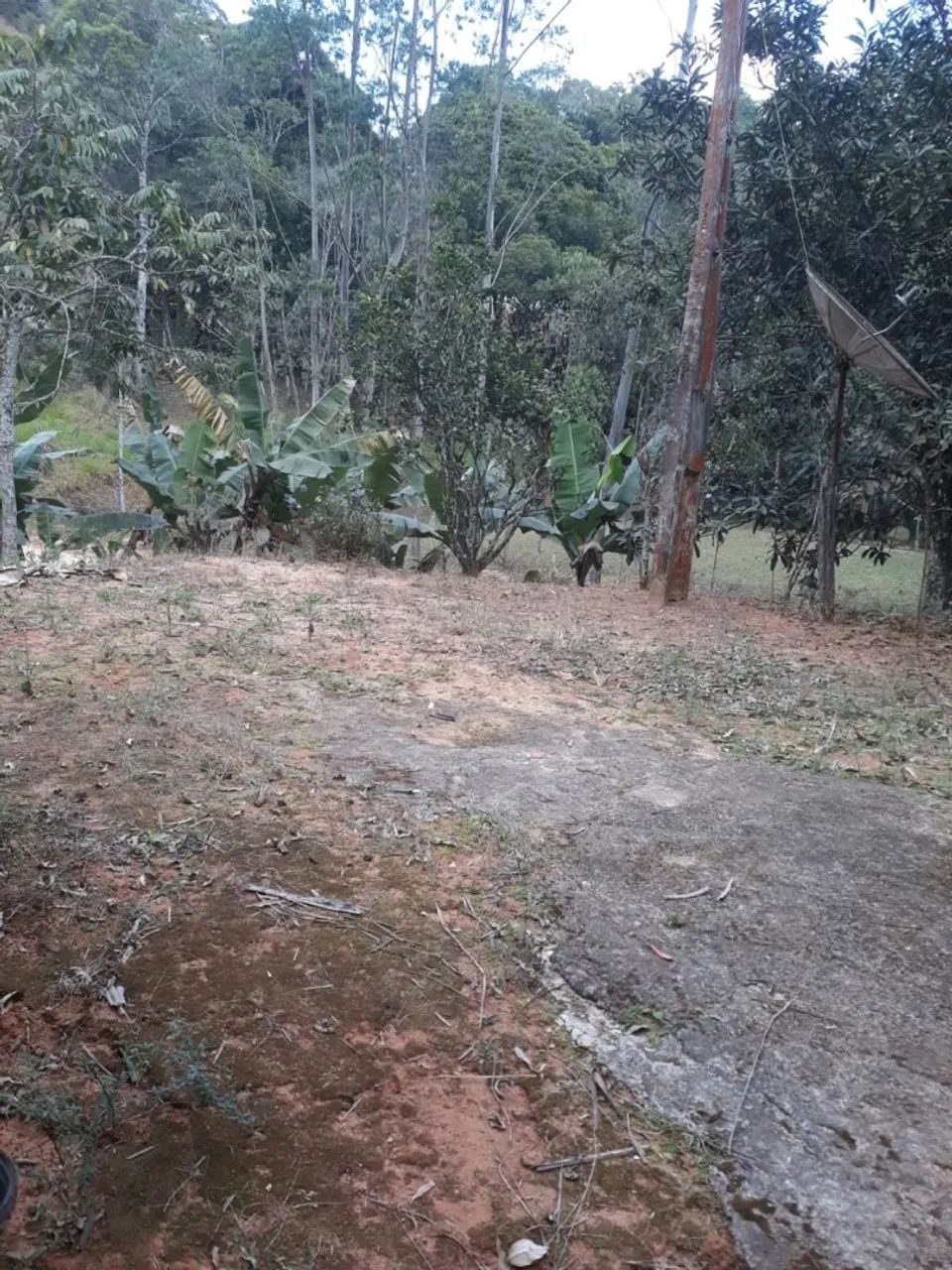 Vende-se characa  - Foto 4