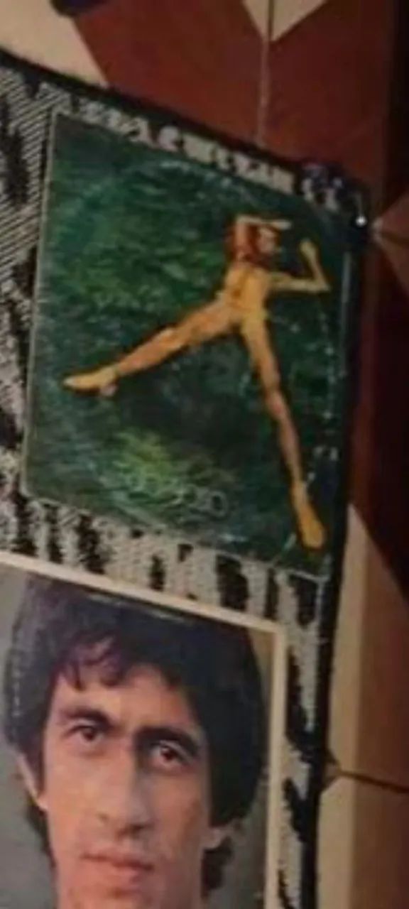 Discos de VINIL perfeitos o lote todo - Foto 2