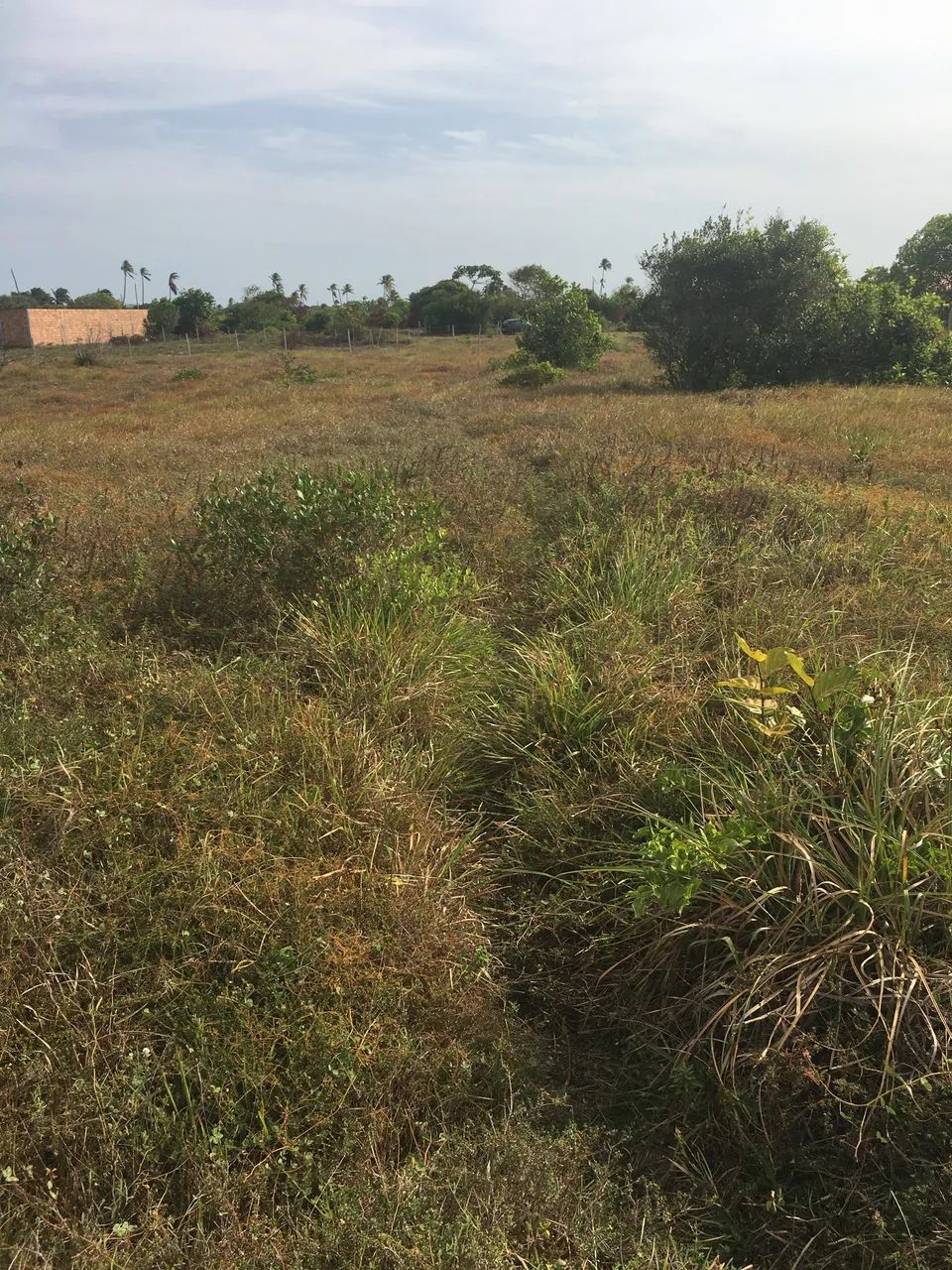 Terreno na praia da Caueira  - Foto 3