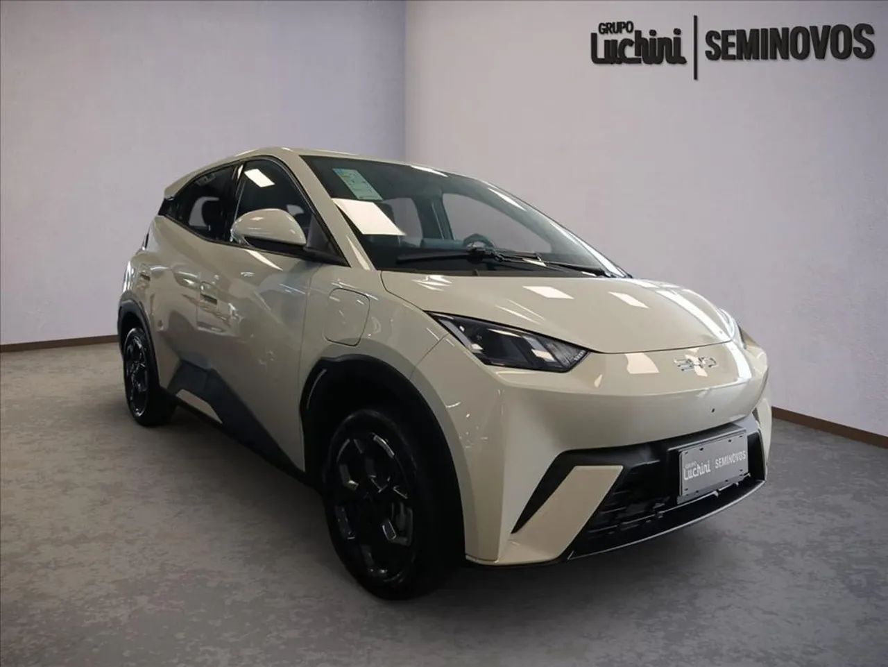 BYD Dolphin Mini (Elétrico) 2027 - Foto 2
