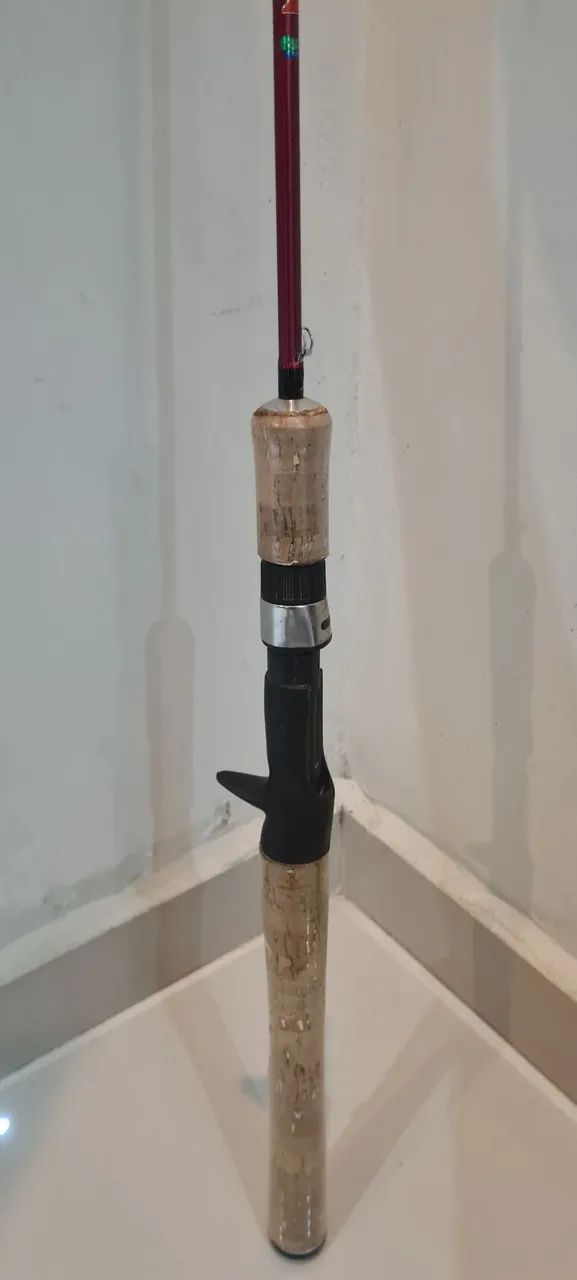 Vara de pesca