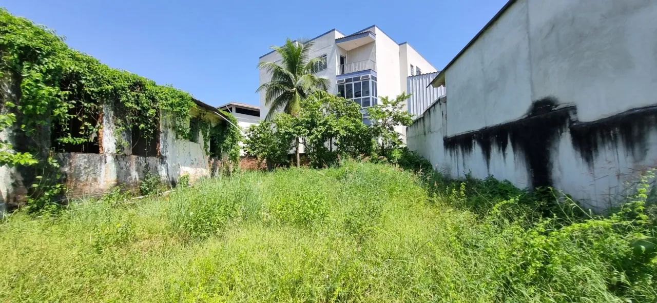 Taquara Terreno comercial 430 metros. - Foto 4