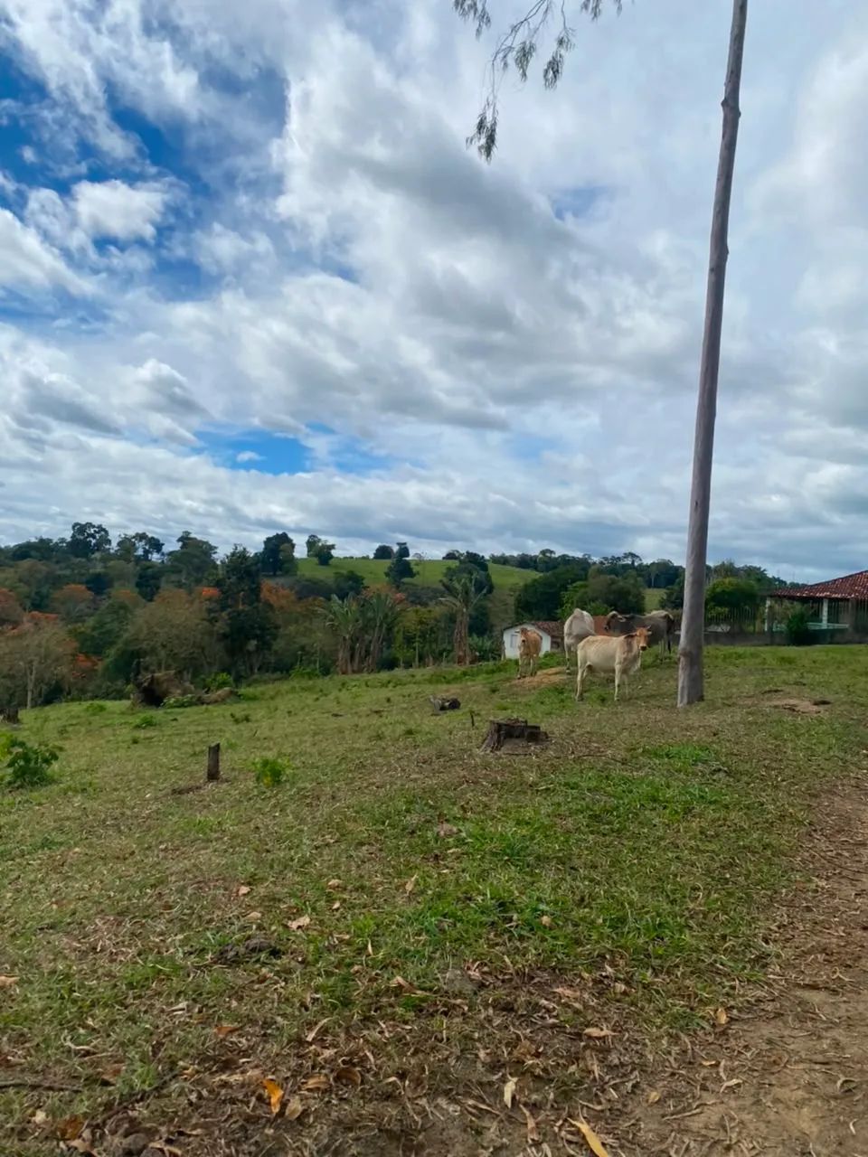 Venda de tarefas  - Foto 4