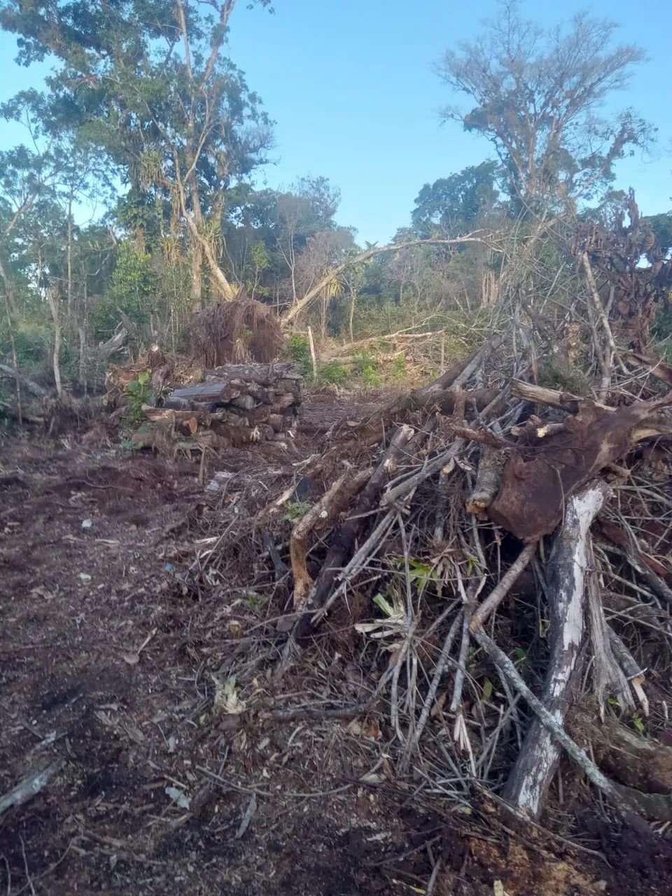 Terreno em Guaratuba  - Foto 2