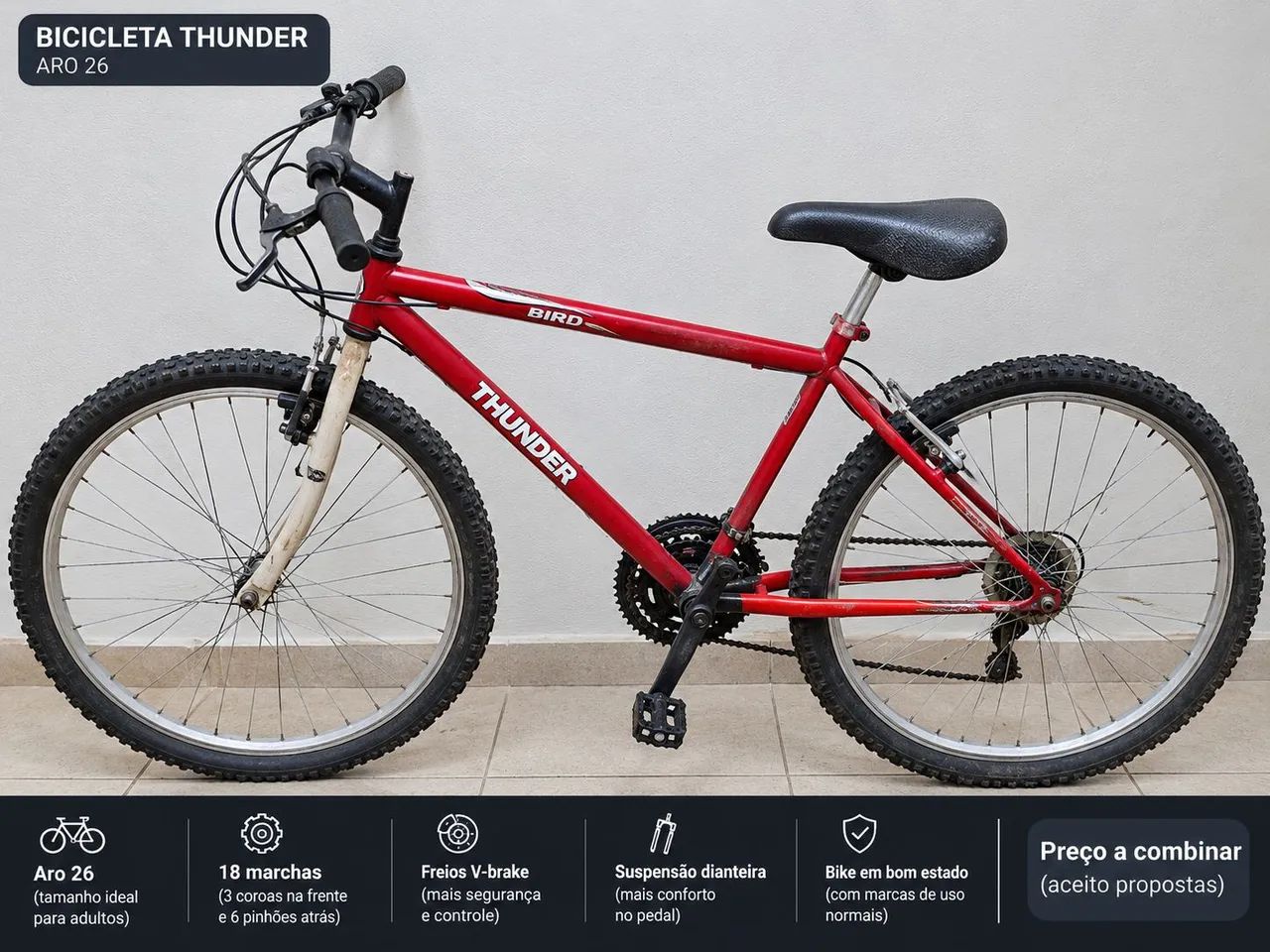 Bicicleta thunder bird 