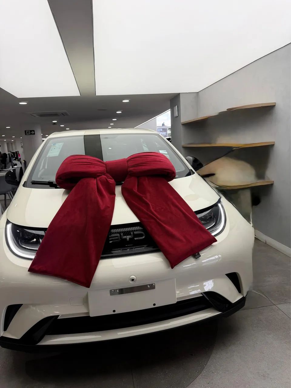 BYD Dolphin EV (Elétrico) 2027 - Foto 2