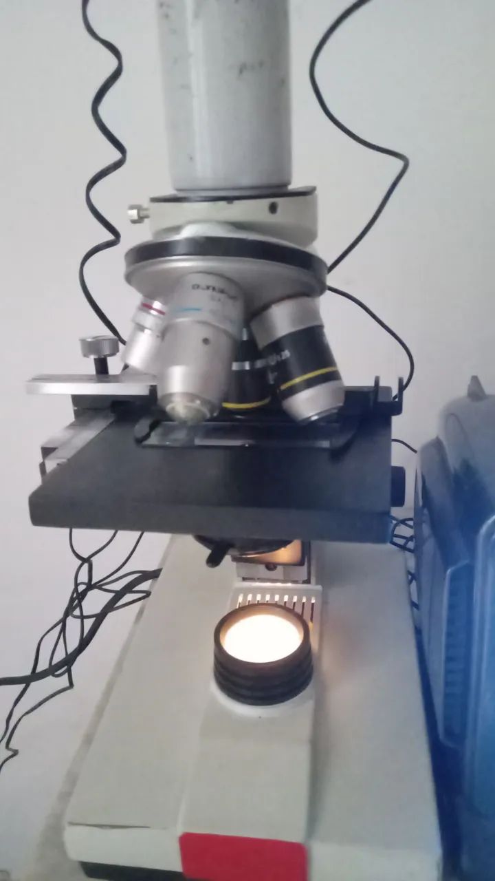 Microscópio X Câmera 