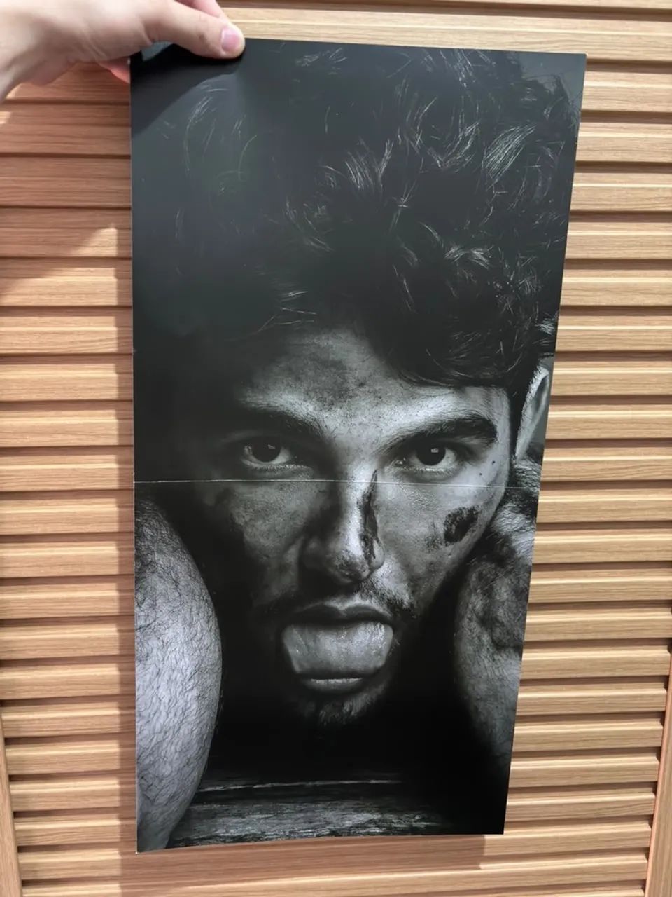 Vinil Lobos - Jão - Foto 5