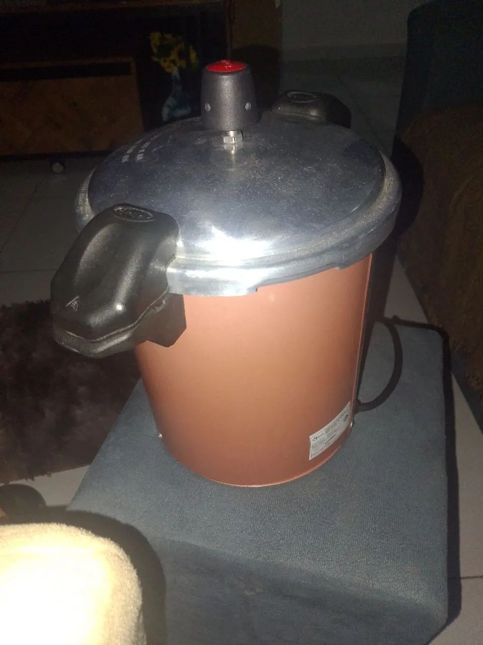 Autoclave  - Foto 4