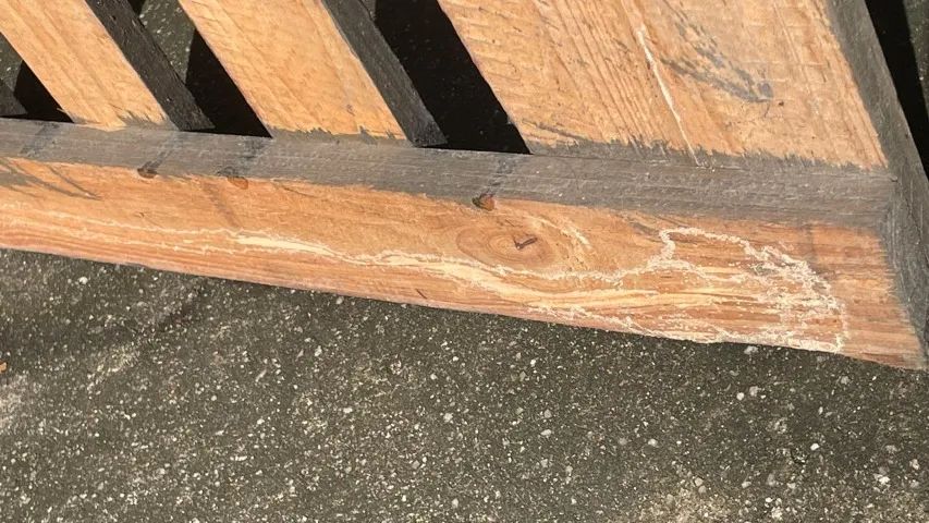 Grade Dupla de Pallet- USADA - Foto 5