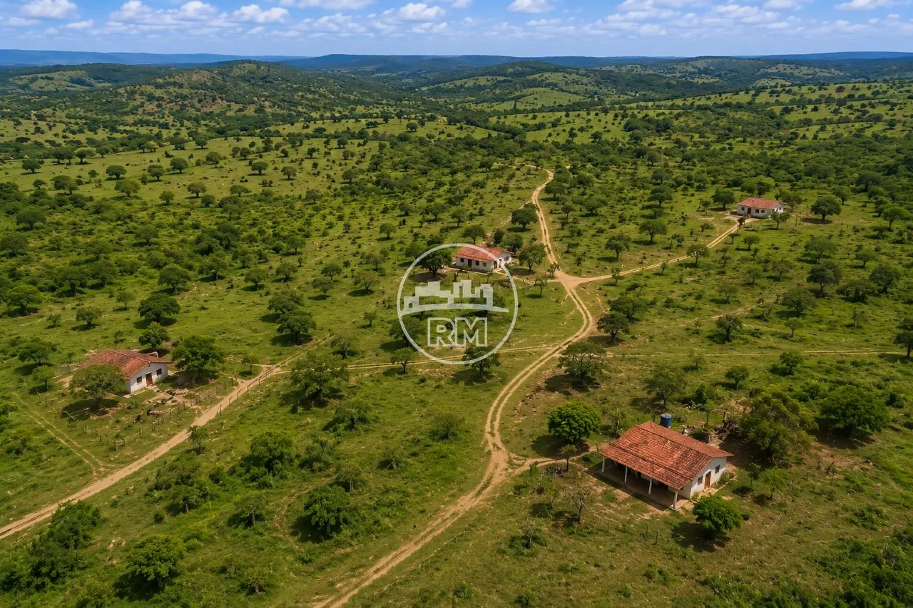 Fazenda à venda com 10 quartos no Centro/Canapi