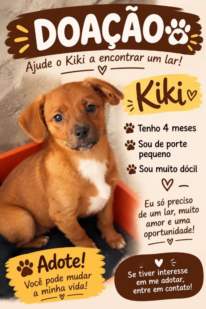 Doação 