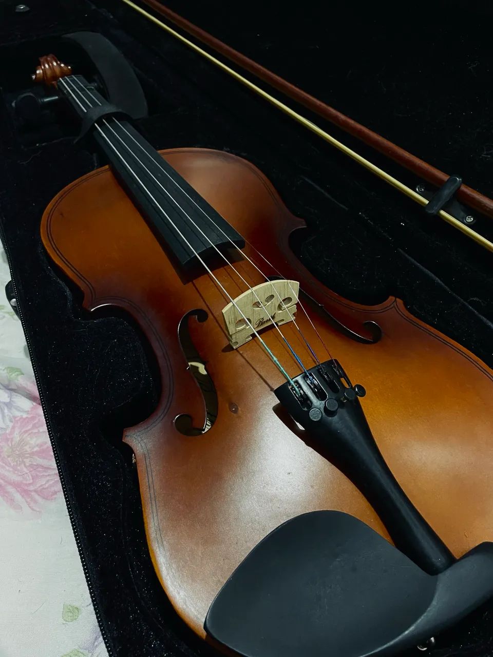 VIOLINO PROFISSIONAL