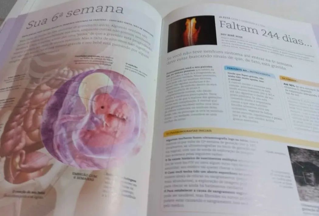 Livro A Gravidez Dia a Dia - Foto 3
