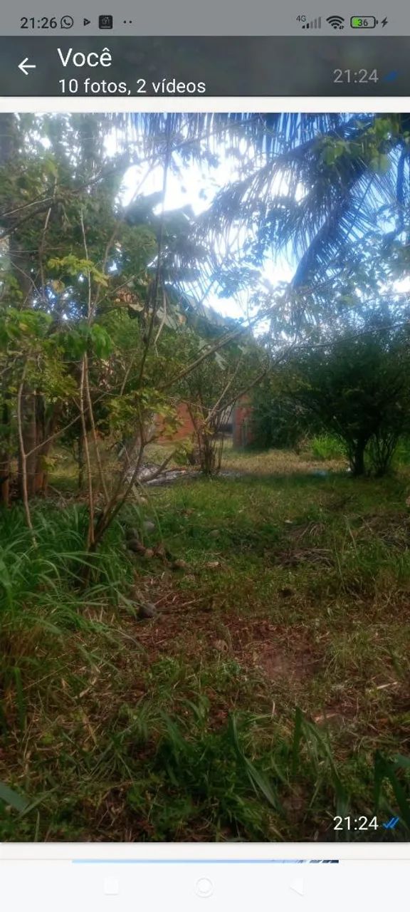 sítio com uma uma tarefa de terra com escritura  - Foto 4