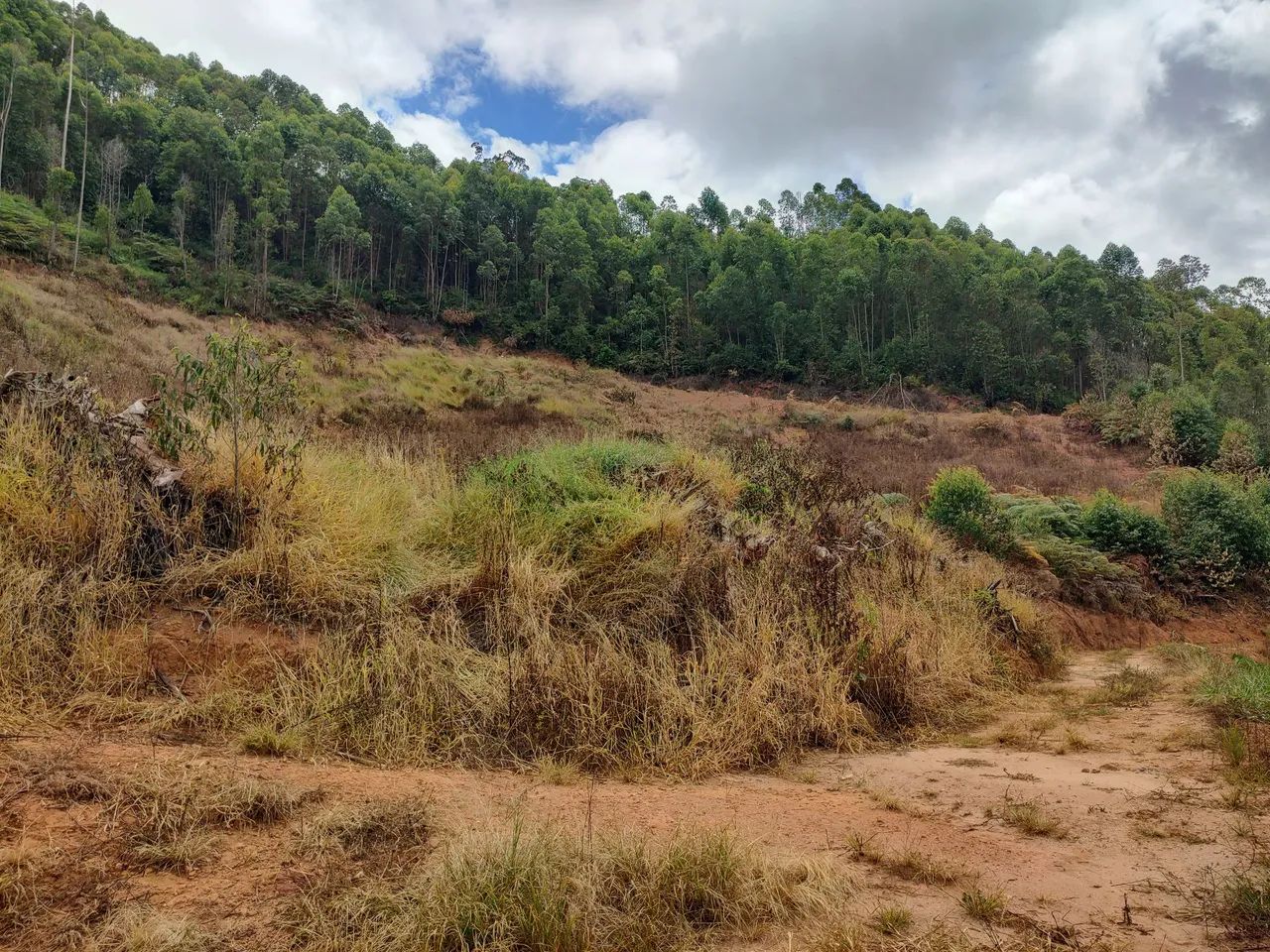 Terreno Alto Castelinho  - Foto 4