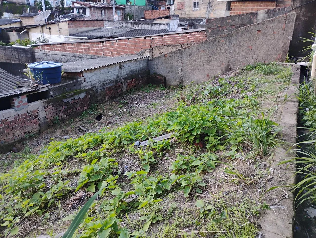 Terreno na Lagoa encantada 