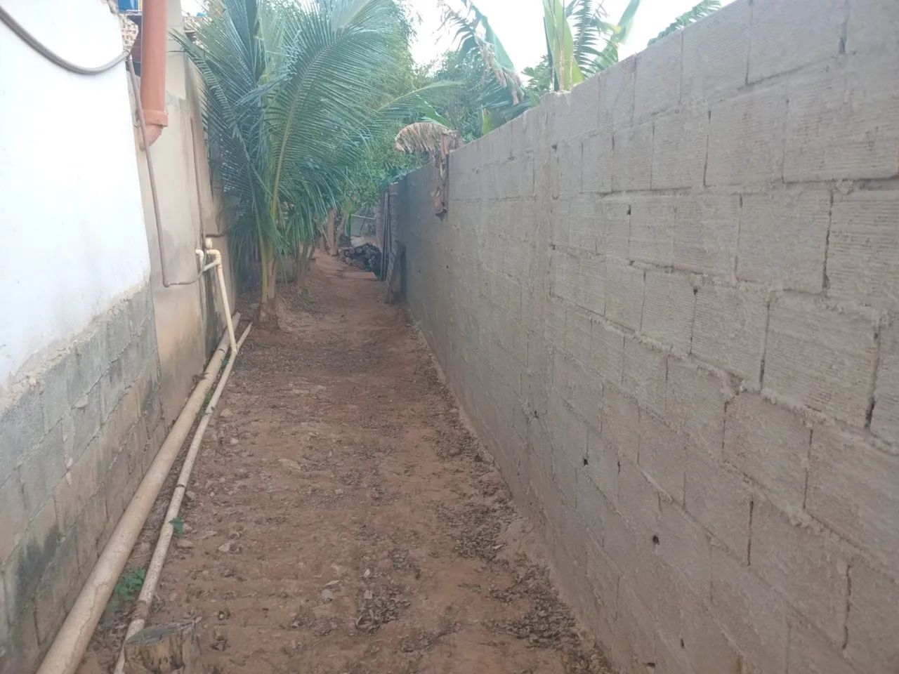 Chácara montada a venda  - Foto 5