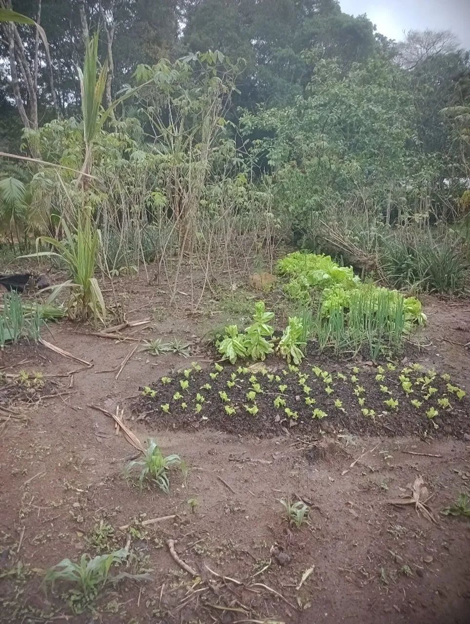 Terreno à venda  - Foto 3