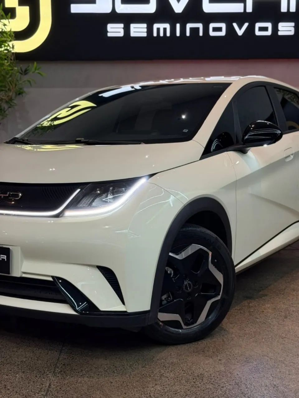 BYD Dolphin EV (Elétrico) 2024 - Foto 2