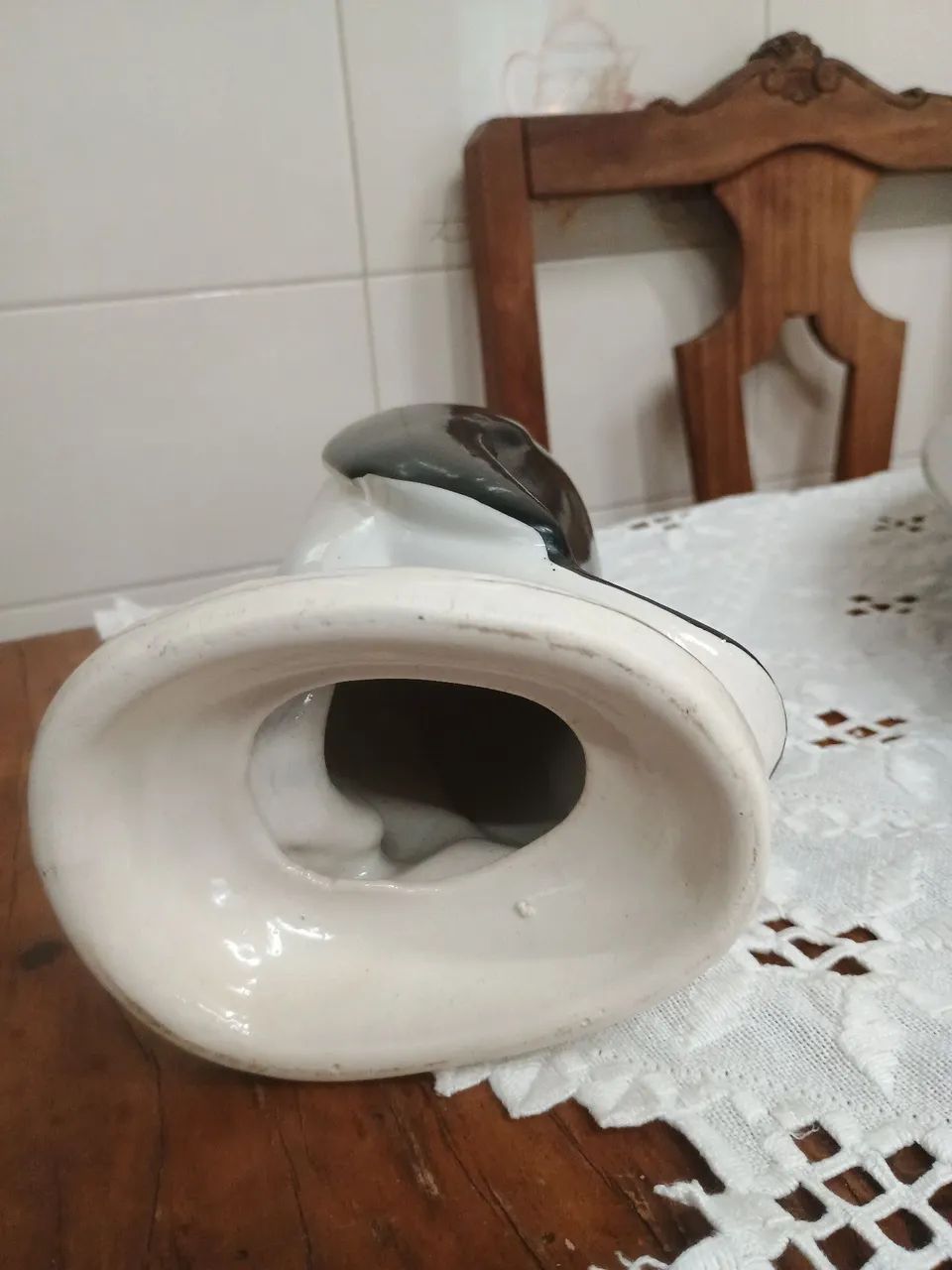Pinguim antigo  - Foto 5