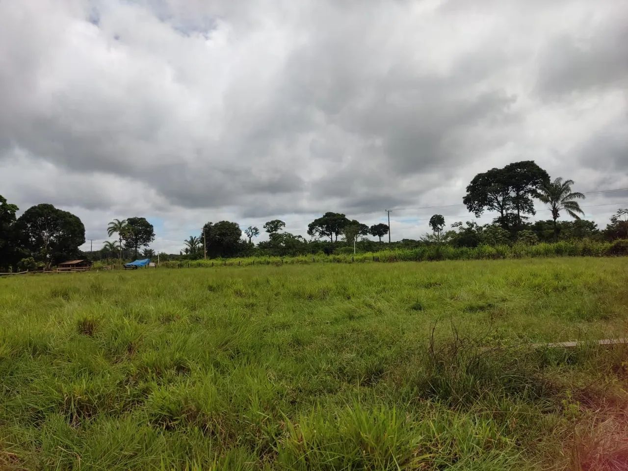 Vendo Fazenda - Foto 3