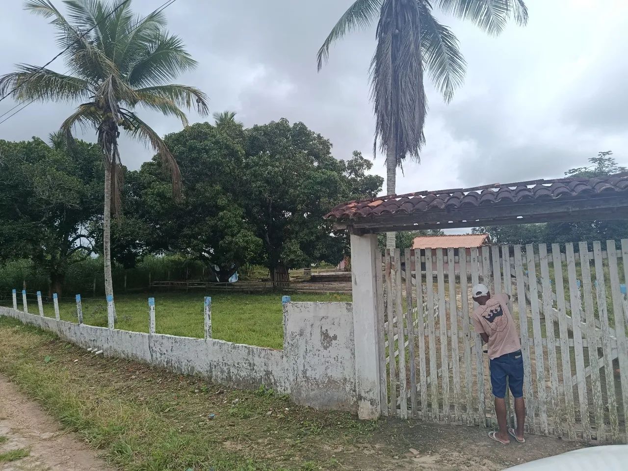 Vendo sítio Itaporanga povoado minante  - Foto 5