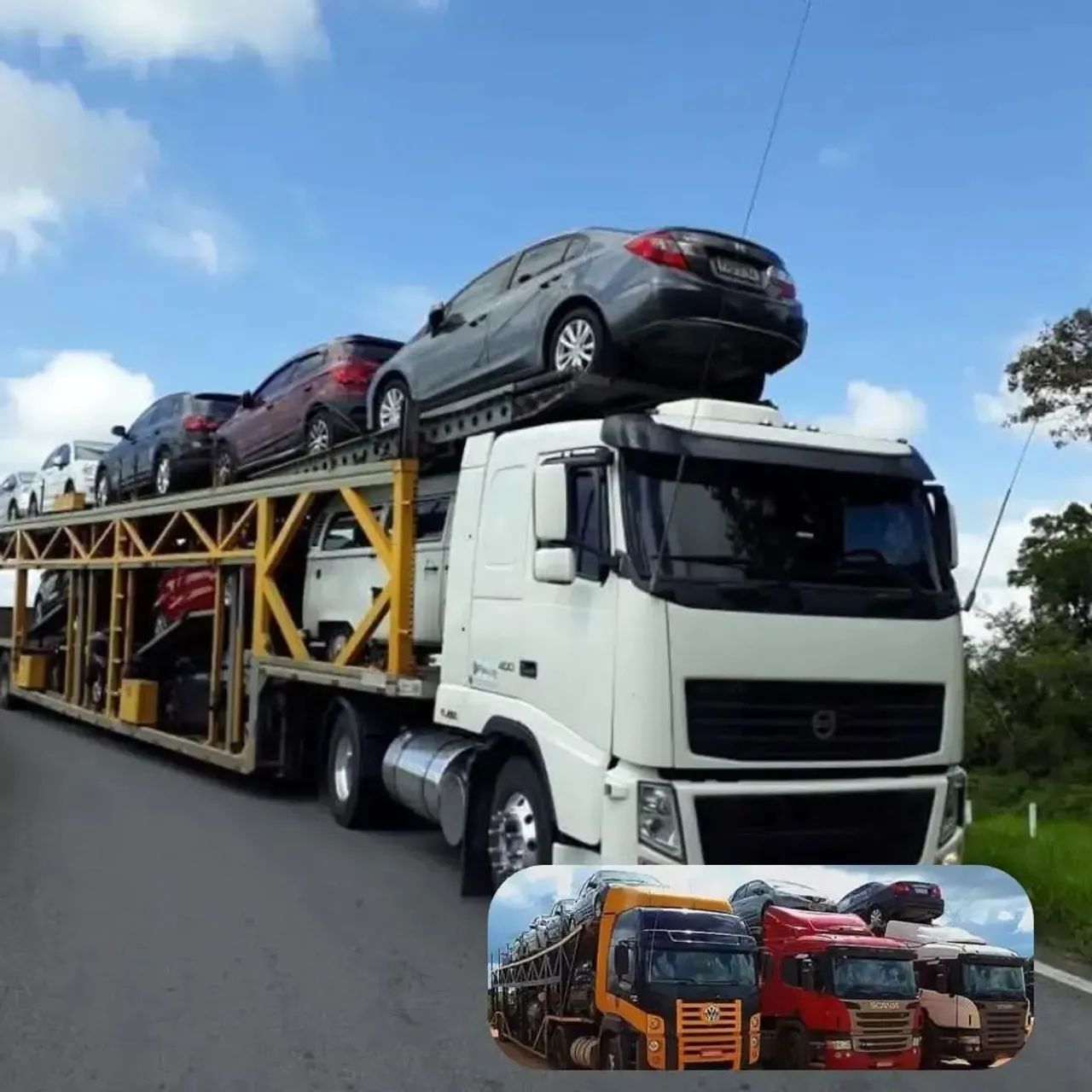 Transportadora de veículos são Paulo 