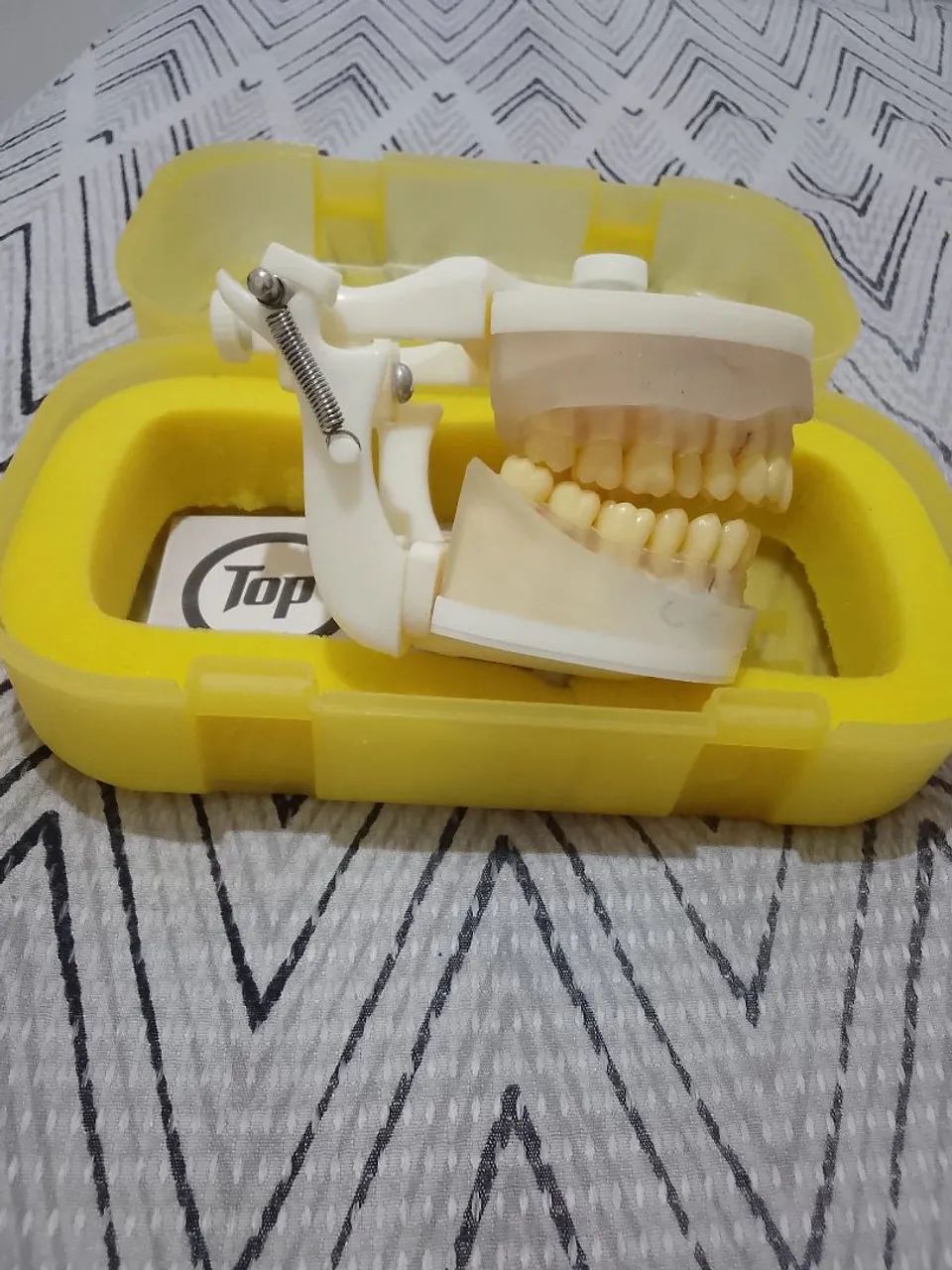 Manequim perio e dentistica.