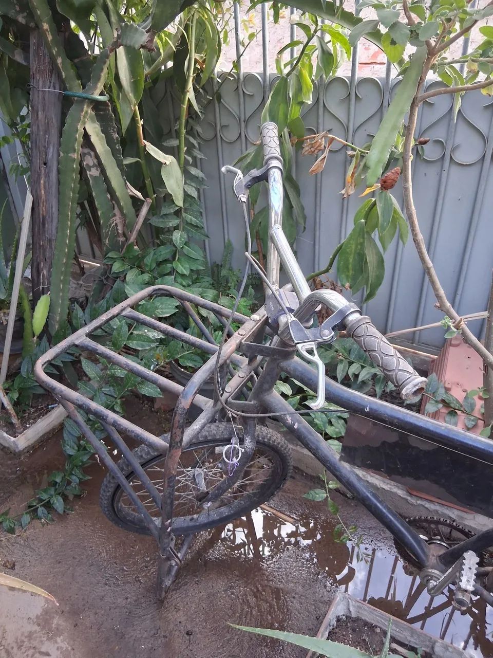 Bicicleta cargueira  - Foto 2