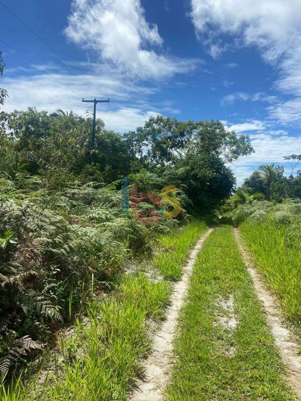 VENDO LOTE EM ÁREA RURAL - Foto 3