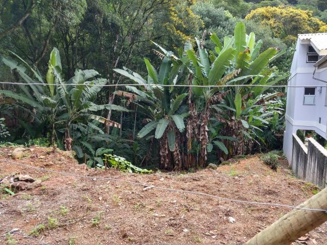 Lote 567m2 no Centro de Santa Isabel Domingos Martins - Foto 13