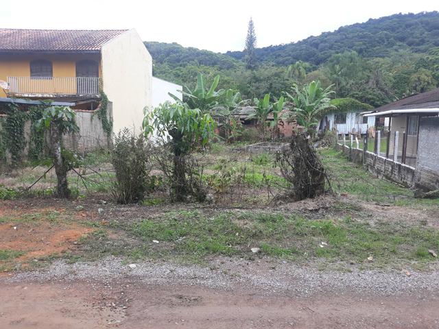 Terreno em antonina 15X31 - Foto 2