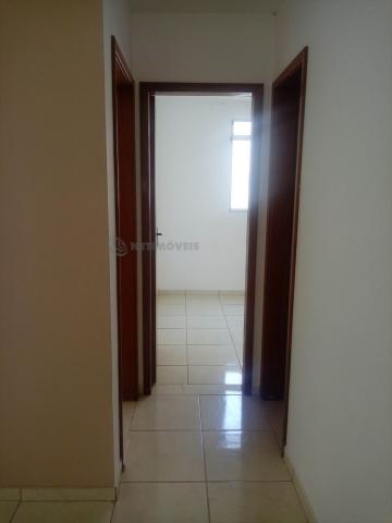 Apartamento à venda com 2 dormitórios em Juliana, Belo horizonte cod:660395 - Foto 8