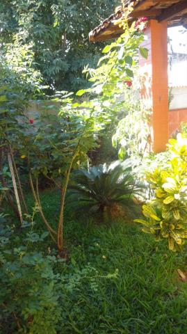 Casa à venda com 5 dormitórios em São salvador, Belo horizonte cod:630580 - Foto 5
