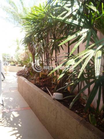 Casa à venda com 3 dormitórios em Alípio de melo, Belo horizonte cod:648049 - Foto 11